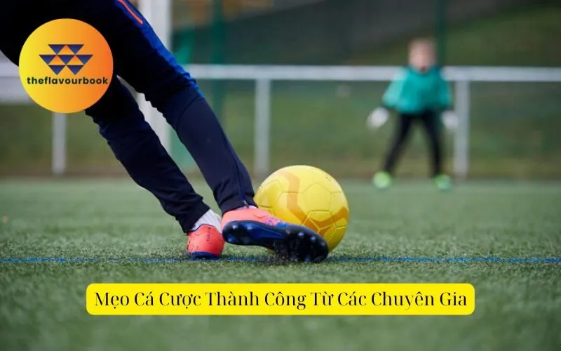 Mẹo Cá Cược Thành Công Từ Các Chuyên Gia