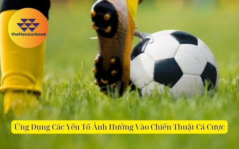 Ứng Dụng Các Yếu Tố Ảnh Hưởng Vào Chiến Thuật Cá Cược