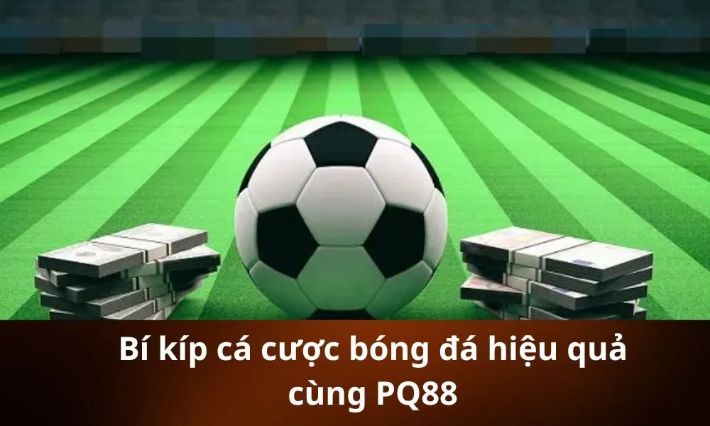 Bí kíp cá cược bóng đá hiệu quả cùng PQ88