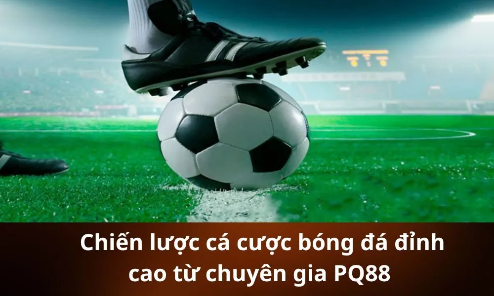 _Chiến lược cá cược bóng đá đỉnh cao từ chuyên gia PQ88