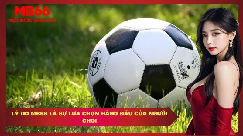 Lý Do MB66 Là Sự Lựa Chọn Hàng Đầu Của Người Chơi