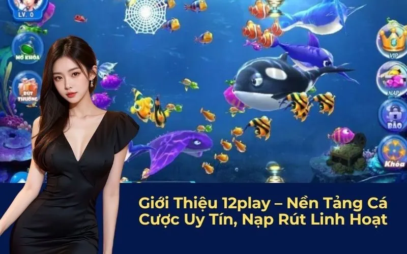 Giới Thiệu 12play – Nền Tảng Cá Cược Uy Tín, Nạp Rút Linh Hoạt