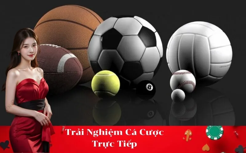 Trải Nghiệm Cá Cược Trực Tiếp